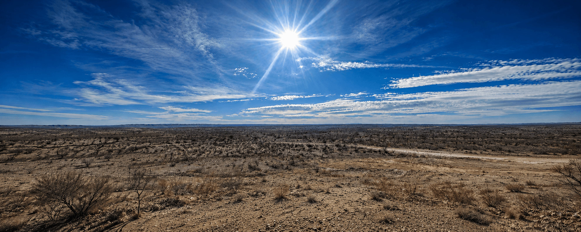 Midday sun over open scrubland at the West of the Pecos site in Culberson County